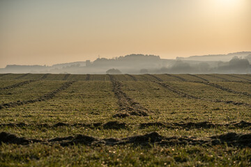 Wall Mural - Cut hay field in the foggy morning sunrise in Amish country, Ohio