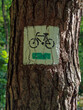 Bicycle road in the forest