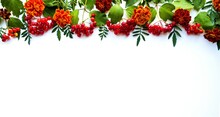 White Background With Autumn Berries And Flowers, A Variety Of Bright Autumn Colors, Red Viburnum Berries And Yellow Marigolds.  Space For Copy Text.  Flat Lay.