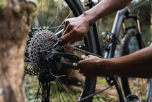 Anonymous Man Repairing Detail Of Bicycle In Woodland