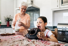 Funny Girl With Tasty Chocolate Cake Against Grandma In Kitchen