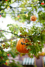 Pumpkin Halloween Decoration In Tree In Anaheim Calfornia