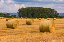 Bales Of Hay In A Field In Front Of Trees After The Harvest In Summer
