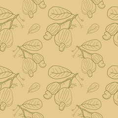 Wall Mural - Cashew seamless pattern. Linear Cashew seamless background for print. Nut pattern for food packaging etc. vector illustration.