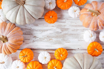Aufkleber - Autumn frame of pumpkins of various sizes and colors over a rustic white wood background. Overhead view with copy space.