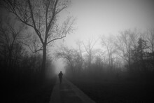 Silhouette Of Man Walking Through Park Down The Footpath On A Misty Winter Day