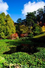 Mount Lofty Botanic Garden - South Australia