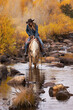 Wyoming Cowgirl at Work in the Fall