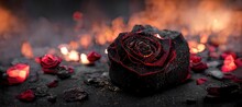 Heartbroken Concept By Spectacular Half Burnt Rose Leaving Some Into Black Ashes And Embers. Digital Art 3D Illustration. Bright Magenta Aura.