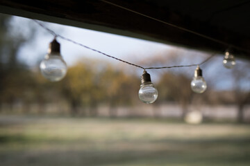 Light bulbs