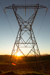 Poster - The evening electricity pylon silhouette