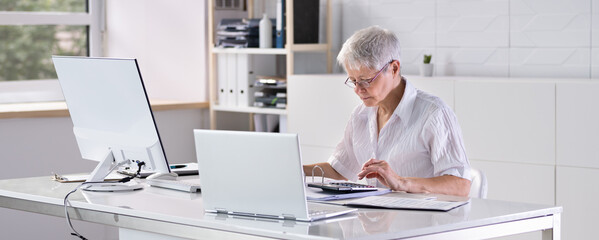 Poster - Business Accountant Using Calculator