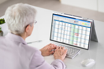 Poster - Electronic Spreadsheet Analyst Or Auditor Using Software