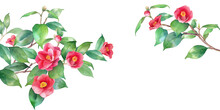 赤い椿の水彩イラスト。左右から伸びる枝の装飾フレーム。バナー背景。ヤブツバキ。（透過背景）
