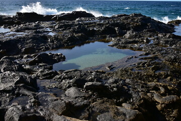 Wall Mural - Visiting the coastline and contemplating moments