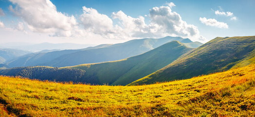 Photo Sur Toile - Attractive summer day with green hills illuminated by the sun. Carpathian mountains, Ukraine, Europe.