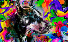 Colorful Artistic Doberman Dog Muzzle With Bright Paint Splatters On Dark Background.