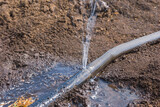 Fototapeta Las - water pouring from a watering hose in the middle of a field