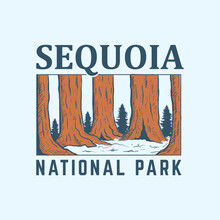 Hand Draw Illustration Of Saquoia National Park, Vintage, Perfect For T-shirt Design And More