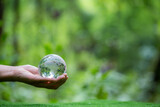Fototapeta Pokój dzieciecy - Human hand holding globe planet glass In green forest with bokeh nature lights. world environment day. concept for environment conservation, protect ecology earth and environmental eco-friendly life.
