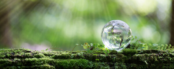 Globe planet glass In green forest with bokeh nature lights. world environment day. concept for environment conservation, protect ecology earth and environmental eco-friendly life with copy space