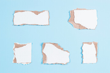 Wall Mural - Pieces of white corrugated cardboard with torn edges arranged on light blue background. Top view, copy space