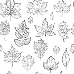 Autumn leaves seamless pattern black and white doodle style line drawing vector illustration.Leaves of different trees sketch drawing.Linear botanical pattern.Seamless outline illustration with leaves