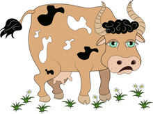 Cow. Pets. Artiodactyl, Ruminant Animal. Cow - Cattle.