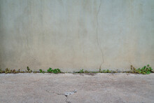 Urban Texture And Background Old Gray Grunge Building Wall And Concrete Pavement With Some Green Weeds