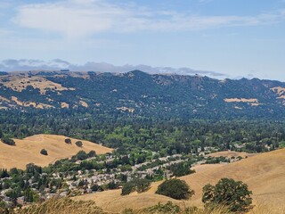 Wall Mural - City plantations keep East Bay valleys green while surrounding hills bake in the summer heat near San Francisco, California