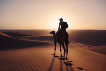 Camel Riding In Desert At Golden Sunset. Man Enjoying Journey On Sand Dunes. Wahiba Sands In Sultanate Of Oman..