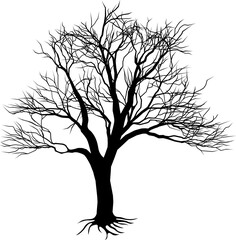 Bare tree silhouette