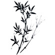 Hand drawn watercolor vector of bamboo. Traditional chinese ink and wash painting