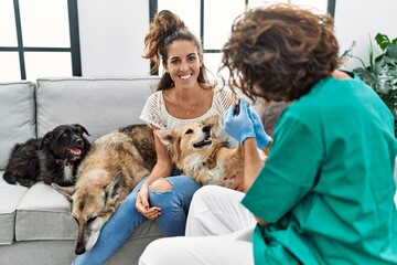 Wall Mural - Man and woman wearing veterinarian uniform examining hoof dog at home