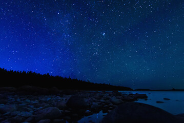 Wall Mural - night landscape with a starry sky and milky way with many bright stars. astrophotography with conste