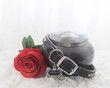 In remembrance of a pet. Red rose beside an urn filled with ashes of a dog on a white background.
