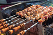 Shish kebab on the grill. Cooking marinated shashlik on the mangal over charcoal. Barbecue on a picnic in nature.