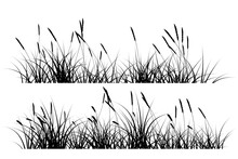 Reeds Grass Silhouette