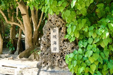 Poster - Stone signboard with the words 