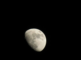 moon in the night
