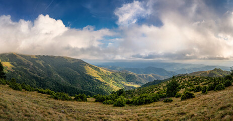 Canvas Print - Summer landscape with green hills and blue sky with clouds. Mountain resort in Serbia Kopaonik. Panorama shot