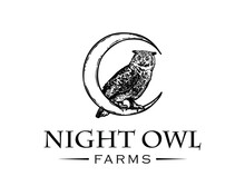 Night Owl Bird Standing On The Moon Illustration Hand Drawn Icon Logo Vector.