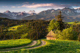 View of the Tatra Mountains, meadows, pastures, from Gliczarów Górny. Spring, Poland. Widok na Tatry, góry, łąki, hale, z Gliczarowa Górnego. Wiosna, Podhale, panorama, Tatry polskie, krajobraz