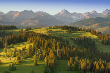  View of the Tatra Mountains, meadows, pastures, from Gliczarów Górny. Spring, Poland. Widok na Tatry, łąki, hale, z Gliczarowa Górnego. Wiosna, Podhale, Polska. Krajobraz