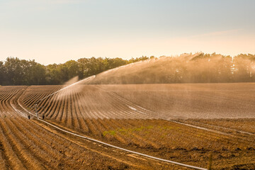 Wall Mural - secheresse environnement eau agriculture Belgique Wallonie eau planète arrosage