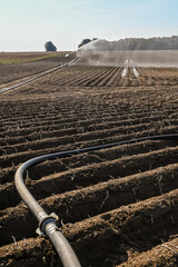 Canvas Print - agriculture culture Belgique Wallonie arrosage secheresse eau environnement