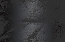 Luxury Black Metal Gradient Background With Distressed Closeup Leaf Texture With Streaks.