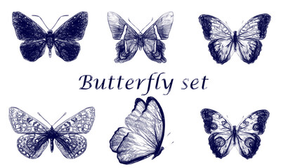 Poster - Set of butterflies drawn with a blue pen isolated on a white