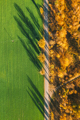 Wall Mural - Aerial view of highway road through green field and autumn yellow forest landscape. Top view flat view of highway motorway freeway from high attitude. Trip and travel concept. Vertical photo.