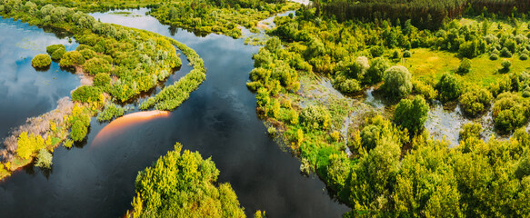 Wall Mural - Aerial view. Green forest, meadow and river marsh landscape in summer. Top view of european nature from high attitude in summertime. Bird's eye view. Belarus.